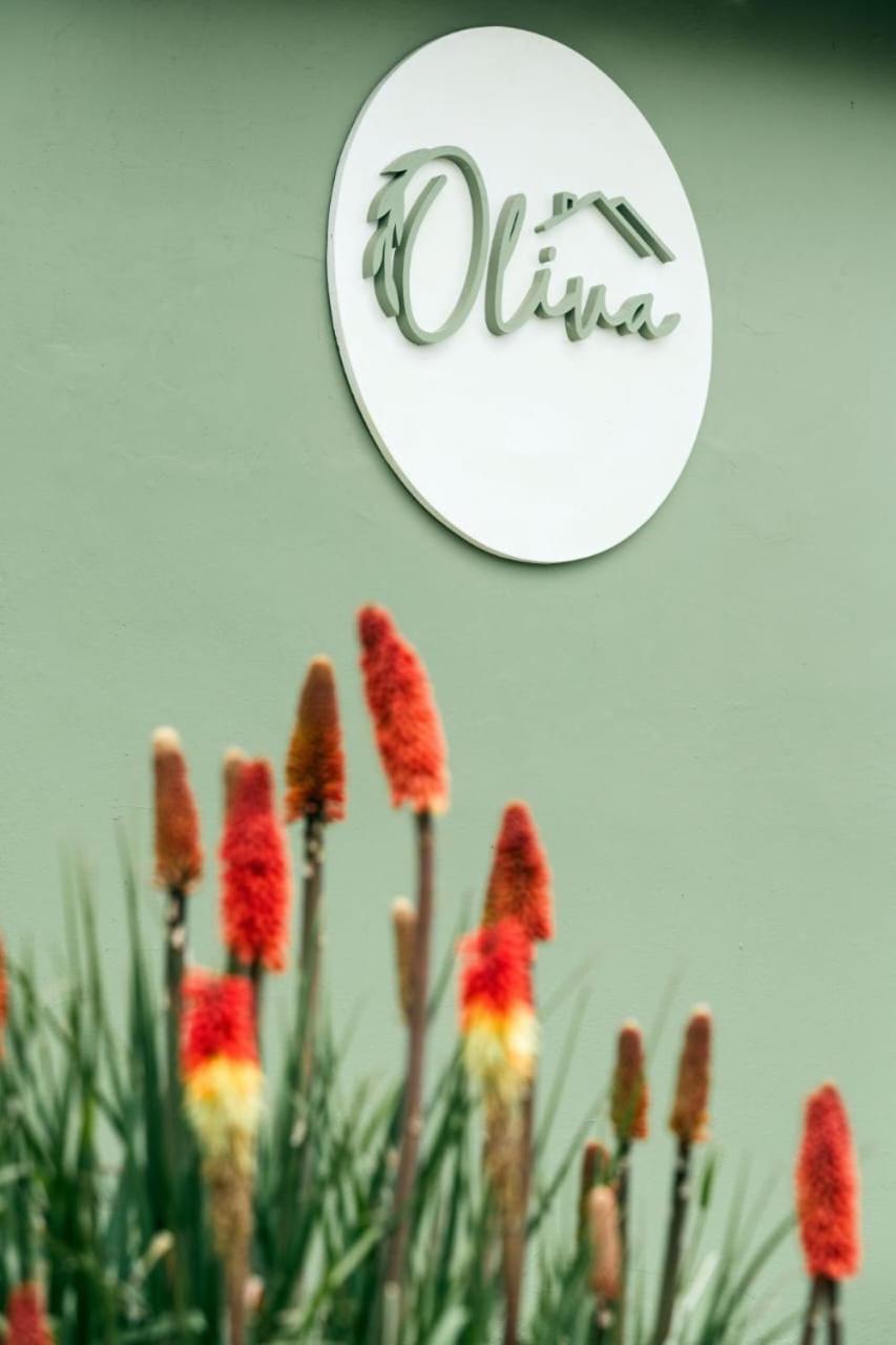 Oliva Hosteria Y Apart 엘 칼라파테 외부 사진